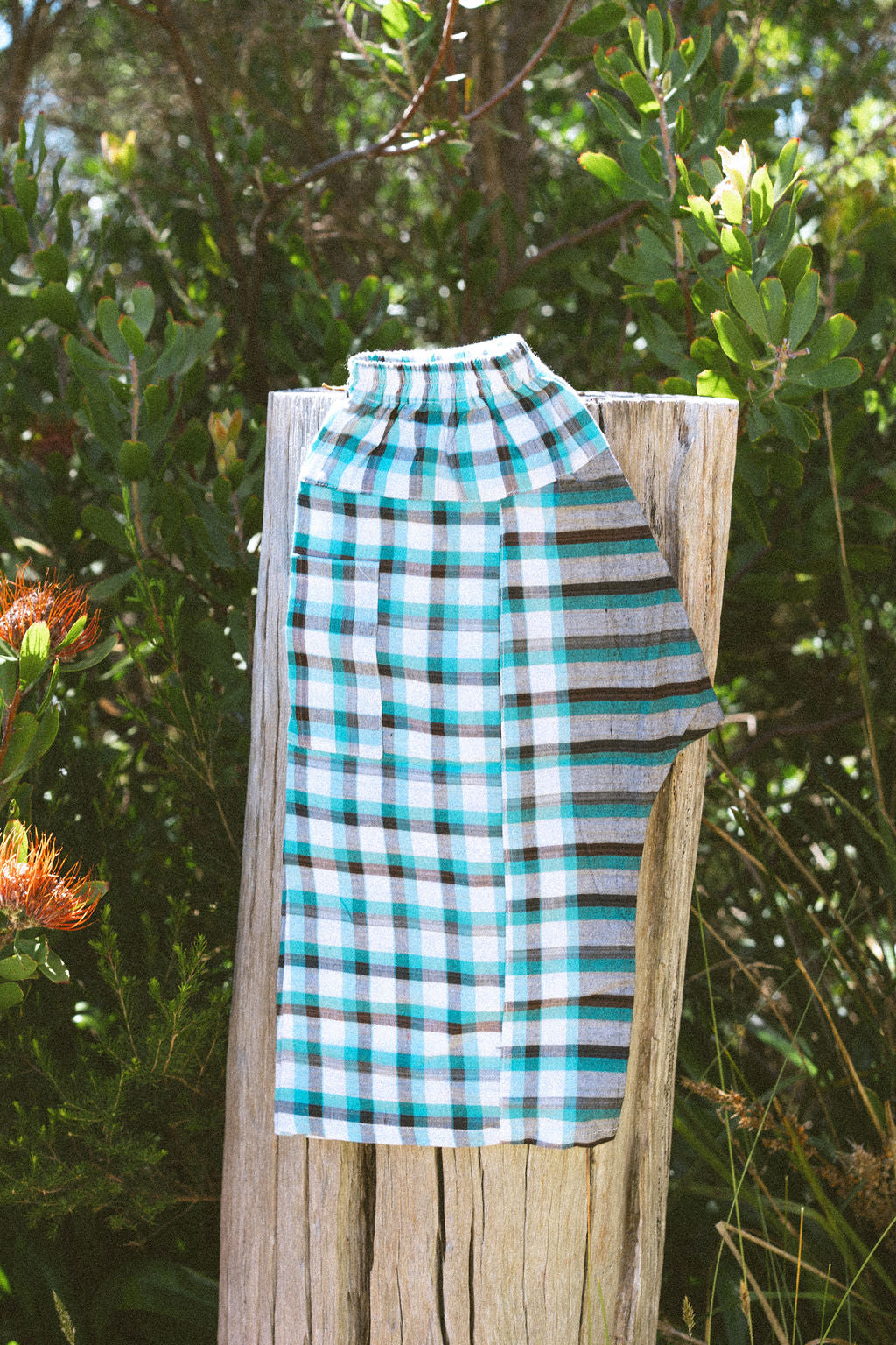 Little Cousin - Archie