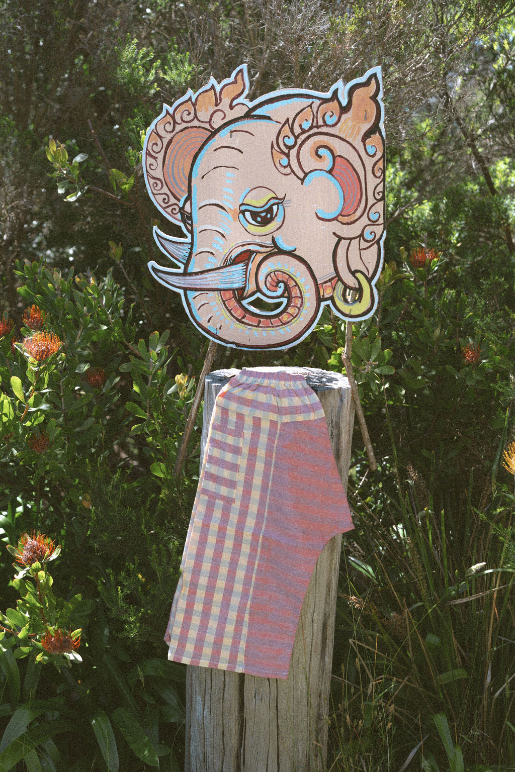 Little Cousin - Woody